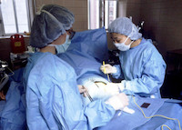 Bude jednou možné člověku transplantovat zvířecí orgány?